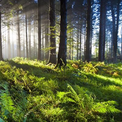 彩票平台wellcome